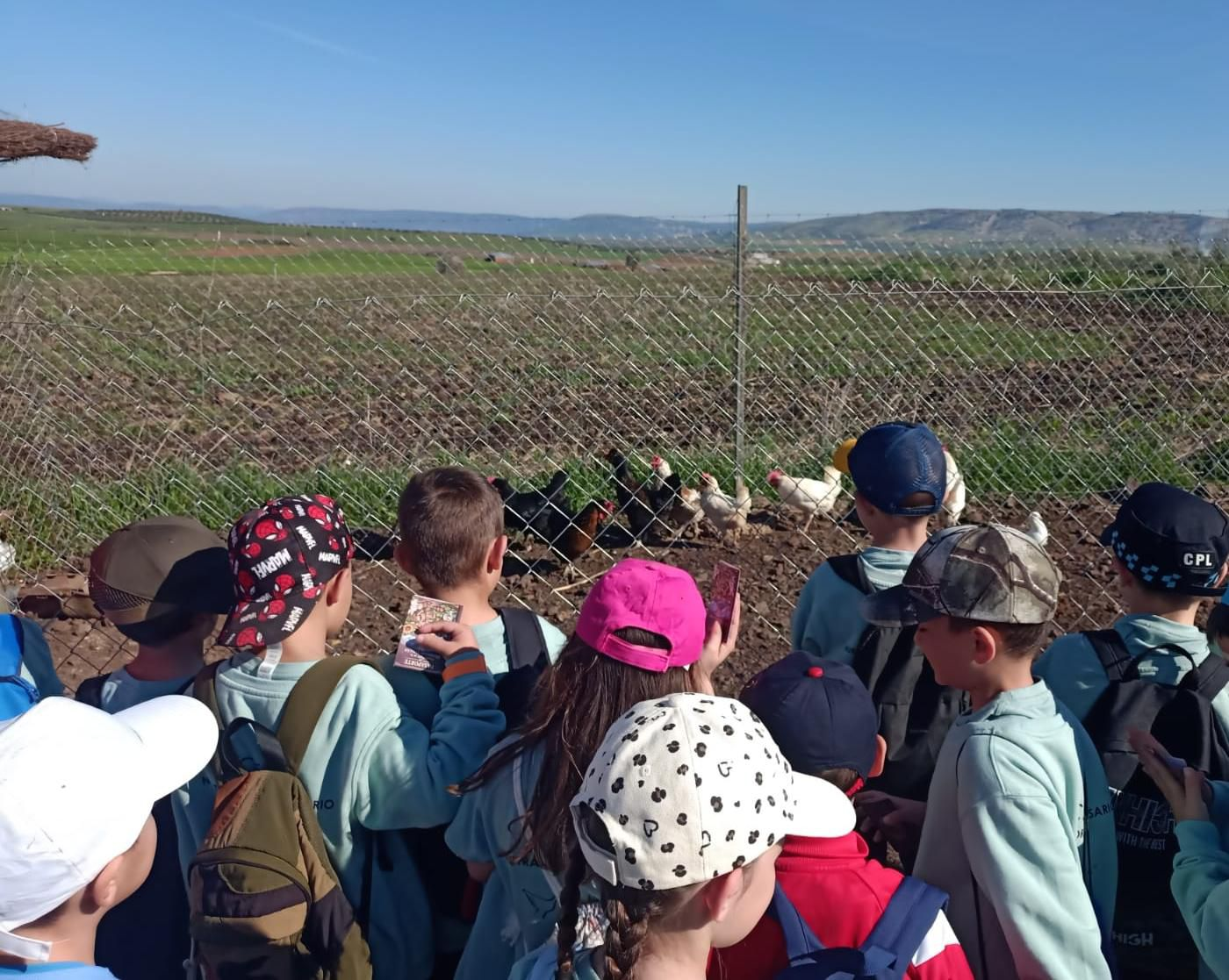 Niños viendo las gallinas