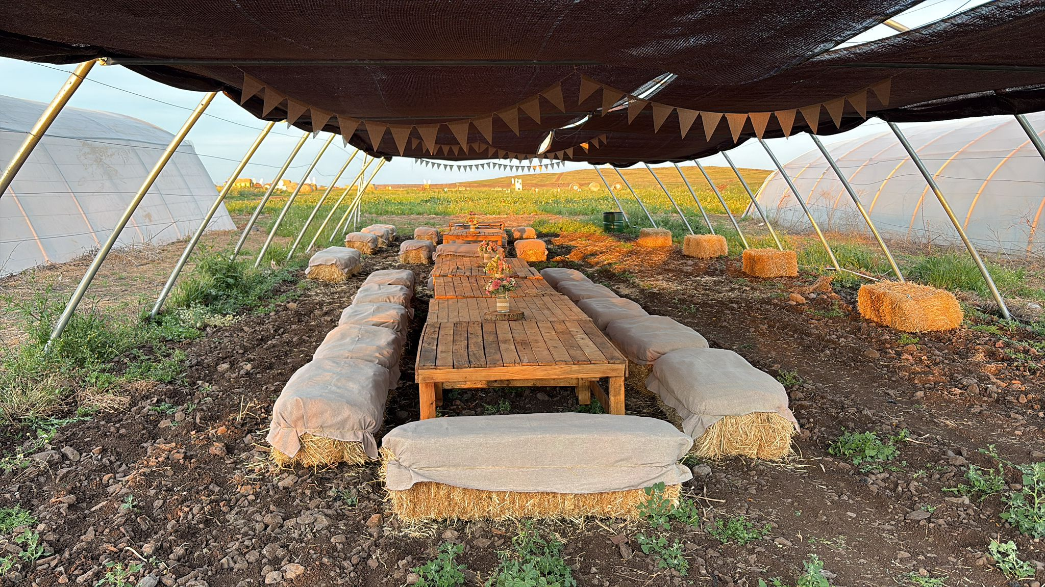 Mesa entre balas de paja